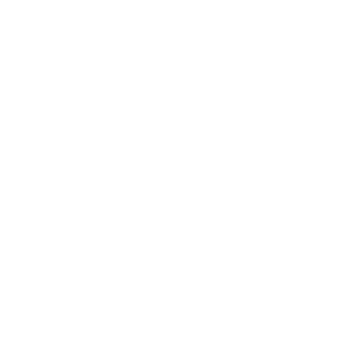 Server and Storage
                                                Solutions