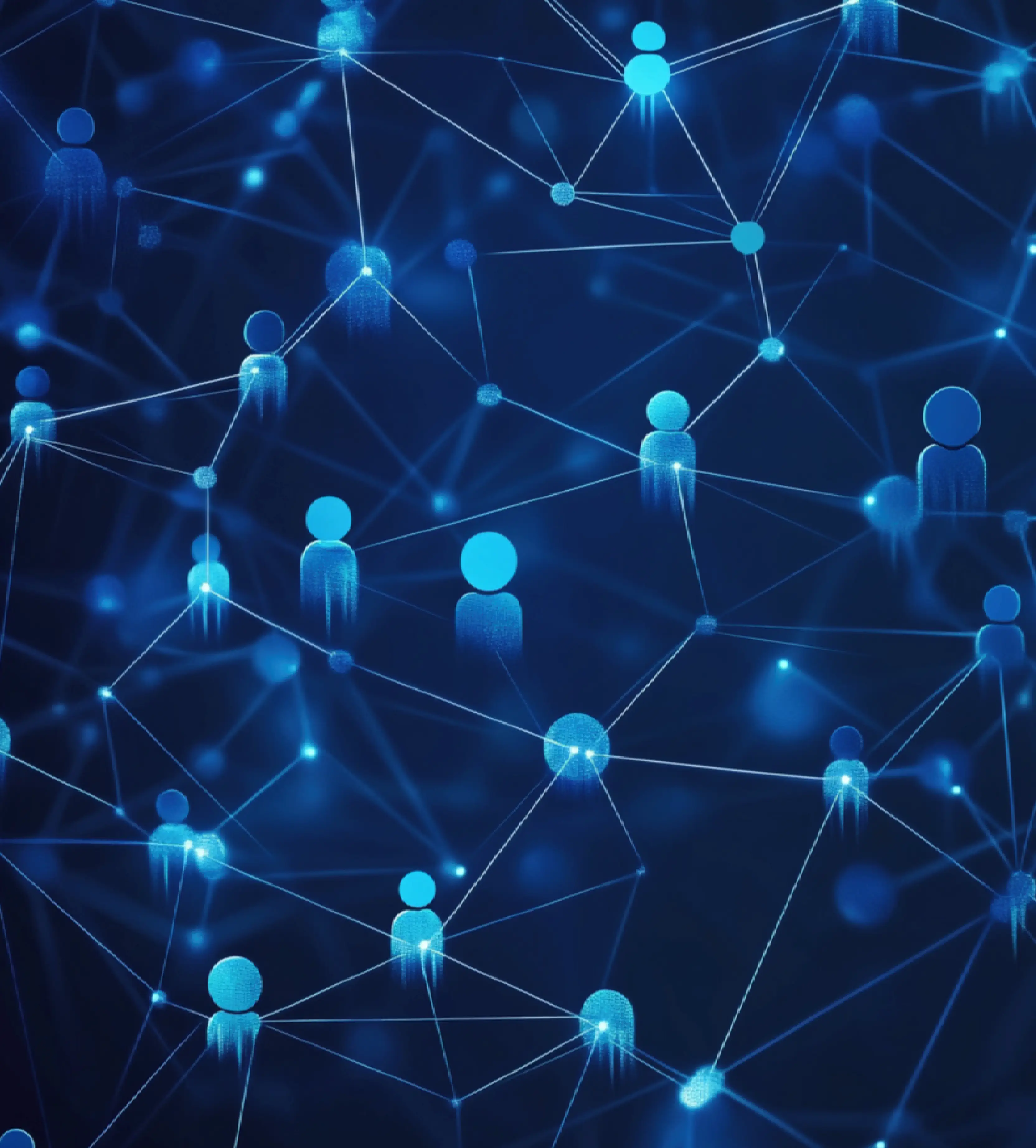 Networking Consulting Services